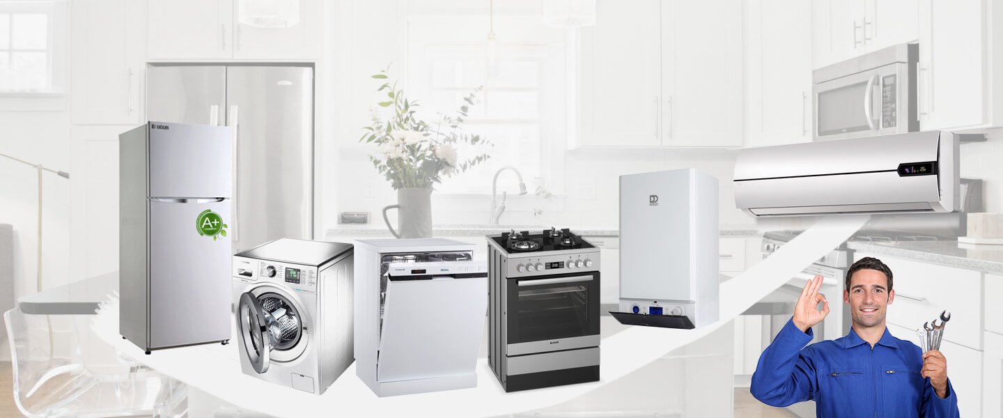 Aslanapa Electrolux Servisi